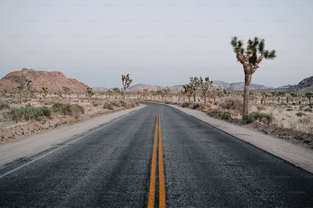 暑期“旅行专列”,让远方有景更有诗意
